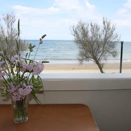 Beach Front Apartament